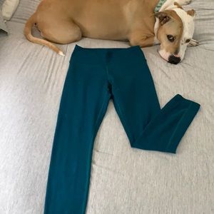 Teal fabletics leggings - dog not included